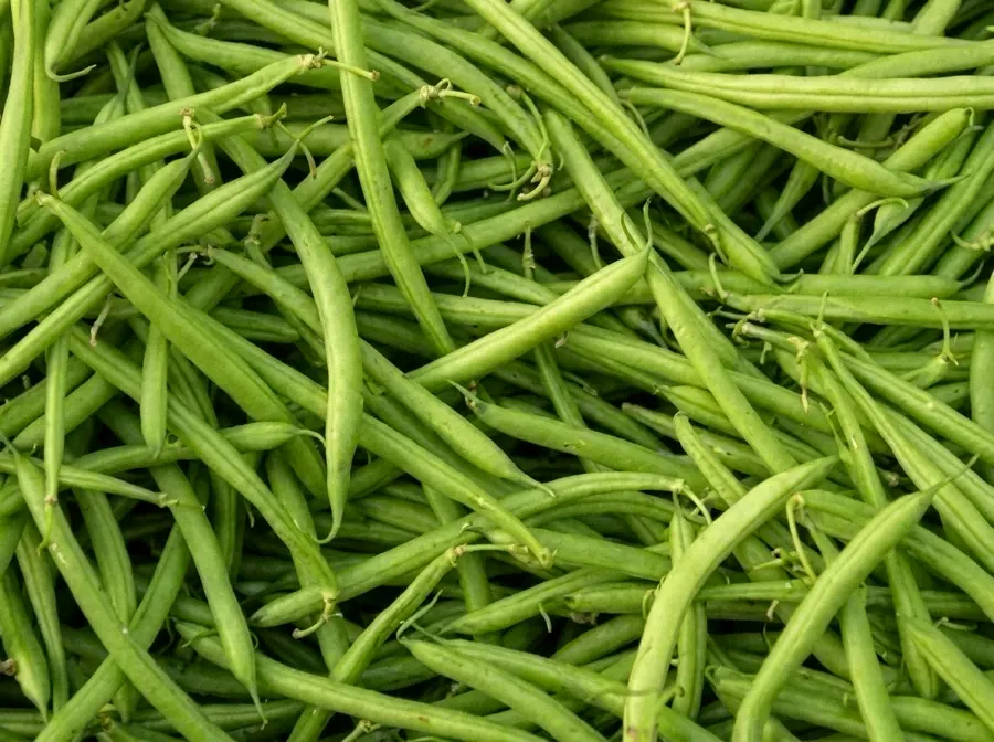 Fresh green beans